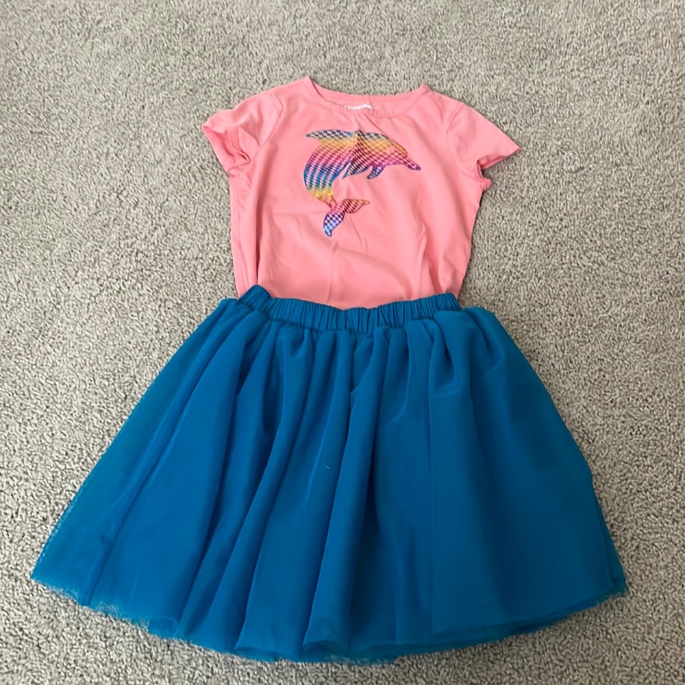 Hanna Andersson tulle skirt and land end shirt- excellent condition. Playful!